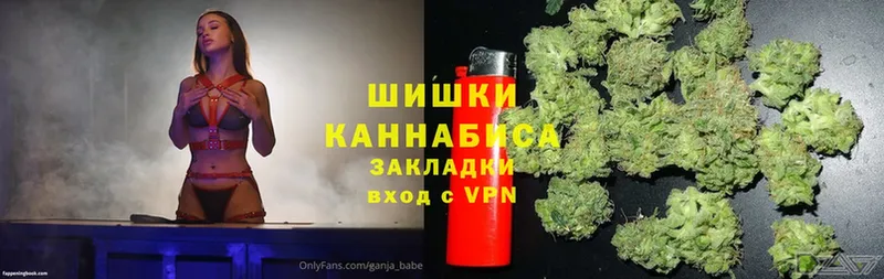 Конопля OG Kush  Моздок 